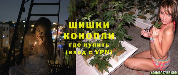 эйфоретик Баксан