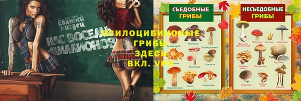спиды Балахна