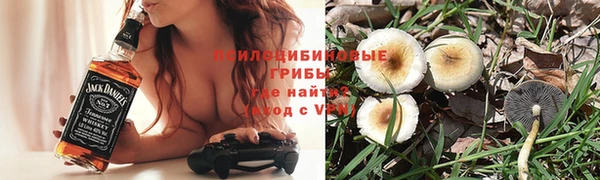 эйфоретик Баксан