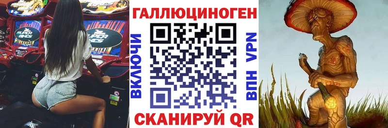 Псилоцибиновые грибы мицелий  Рудня 