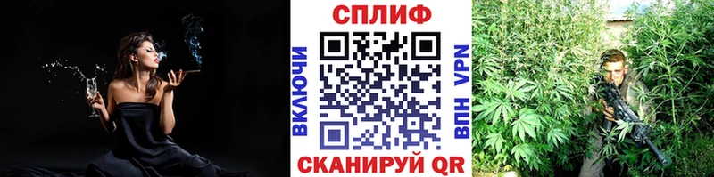Каннабис OG Kush  даркнет сайт  Рудня 